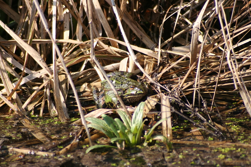 Killikus&reg; Fotographie